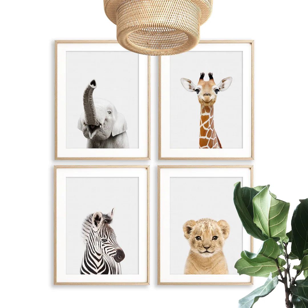 Safari Nursery Prints Set of 4 Baby Animals Print Safari Animal Prints for Jungle Nursery Wall Ar... | Etsy (UK)