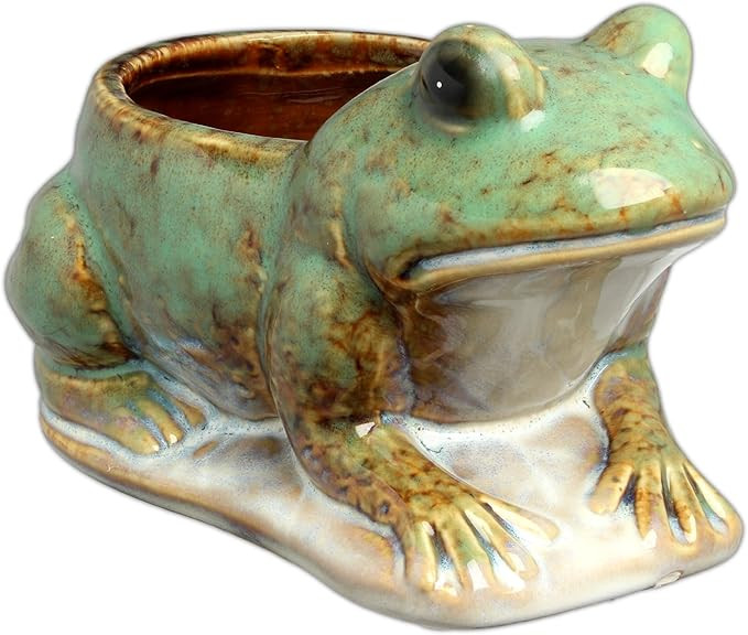 Hill's Park's 6.5" x 4" Frog Planter - Holds 3" Pot - Unique Animal Plant Pot for Indoor Outdoor ... | Amazon (US)
