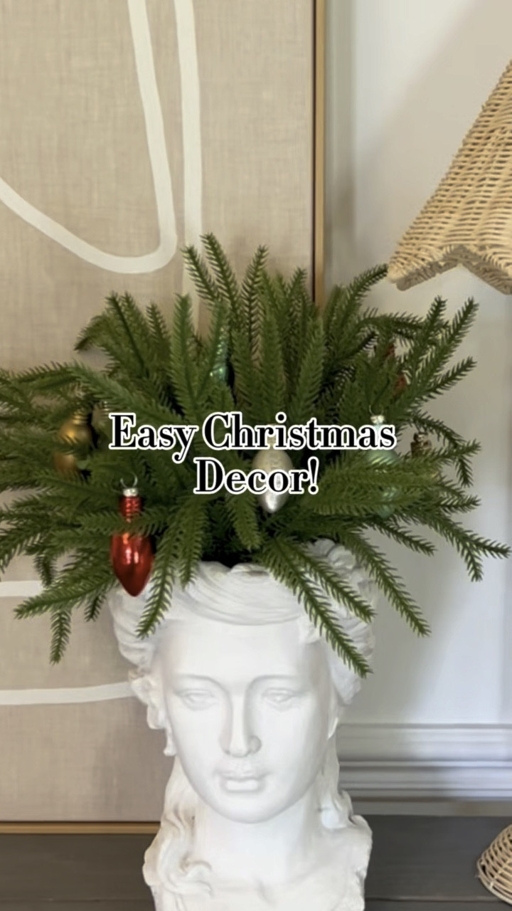 Looking for a quick way to transform your home for the Holidays? Here’s a fun idea! Comment “ME” for the links!🥰

I’ve had this head statue for a while and could never figure out what to do with it for the season, but I think this idea is both cute and super easy to pull off!🎄

#christmasdecor #decor #homedecor #holiday 