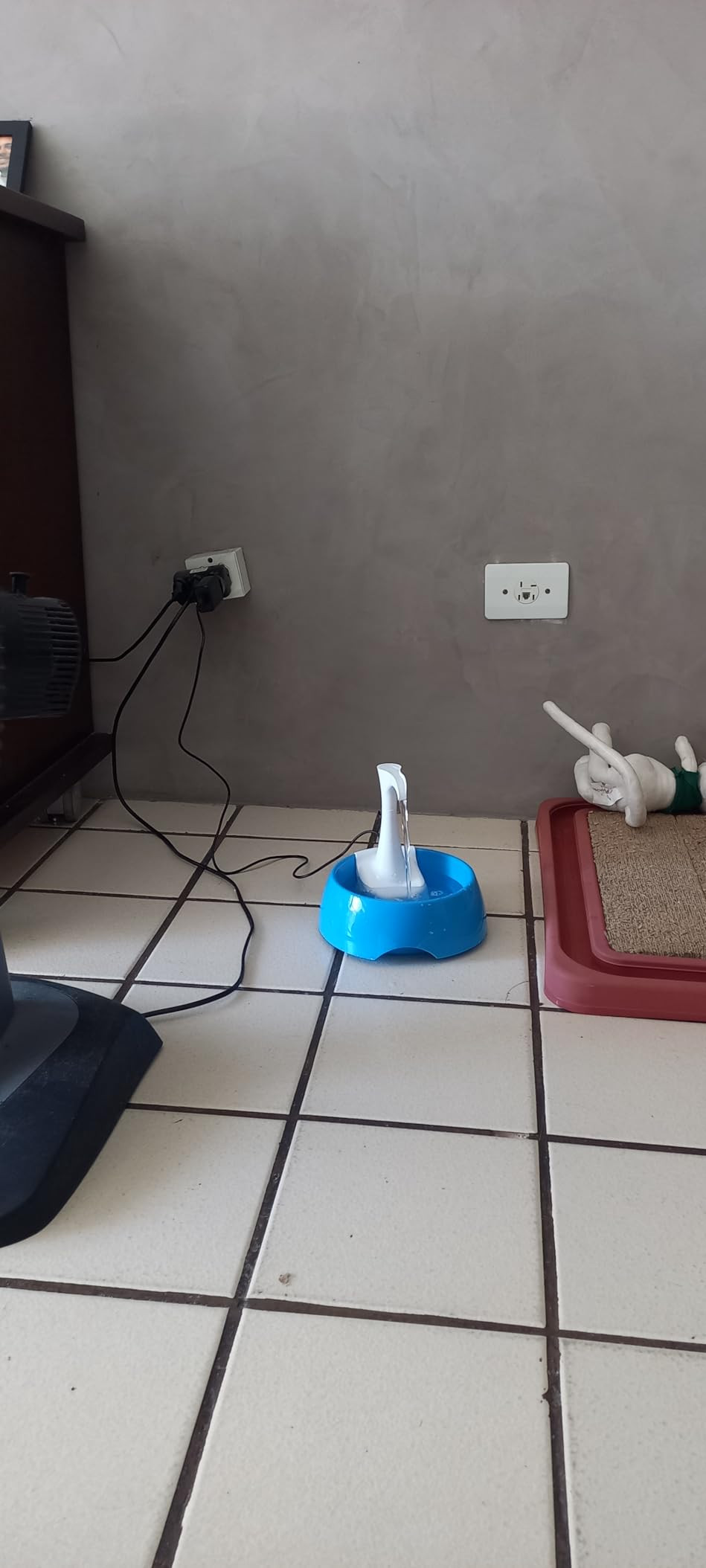 AMICUS - Fonte Bebedouro de água AQUA FIRST USB para Gatos e Cães Bivolt, Bebedouro para Animai... | Amazon (BR)