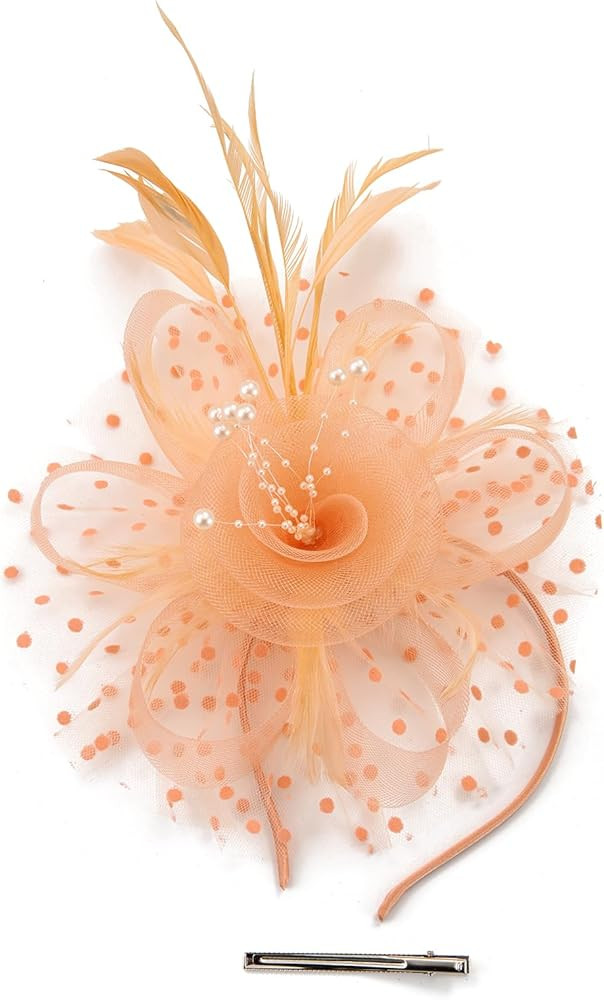 Women's Fascinators Hat Organza Church Tea Party Headwear Wedding Feather Hat with Headband and C... | Amazon (US)