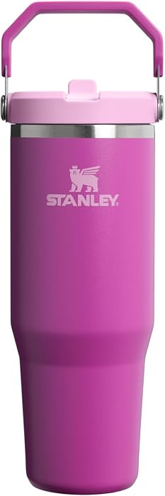STANLEY IceFlow 2.0 Flip Straw Tumbler, 30 oz, Dark Blossom | Amazon (US)