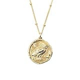 Gold Plated Athena Wisdom Owl Coin Necklace on 14k Gold Filled Chain - 18 inches Long Handmade Neckl | Amazon (US)