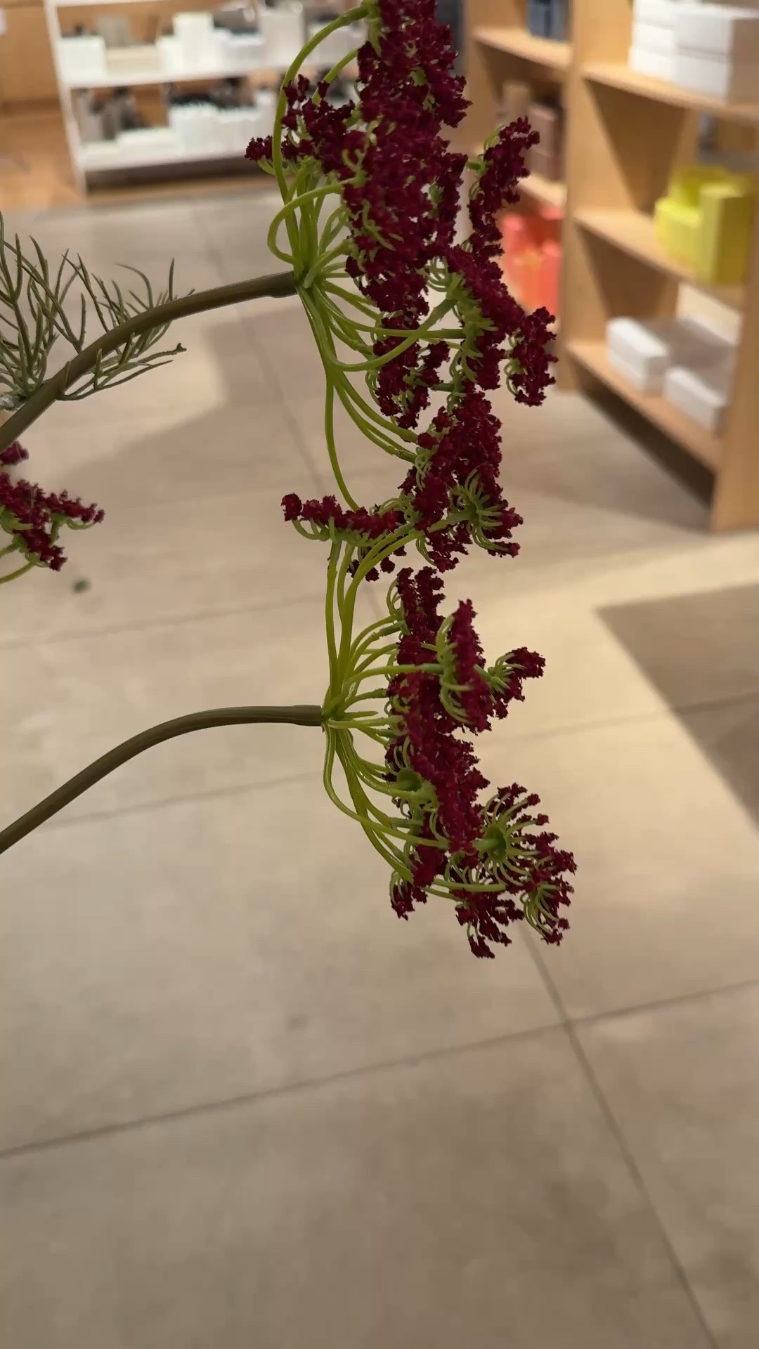 Queen Anne’s lace, flower, faux

#LTKHome #LTKmomlife #LTKdayinmylife