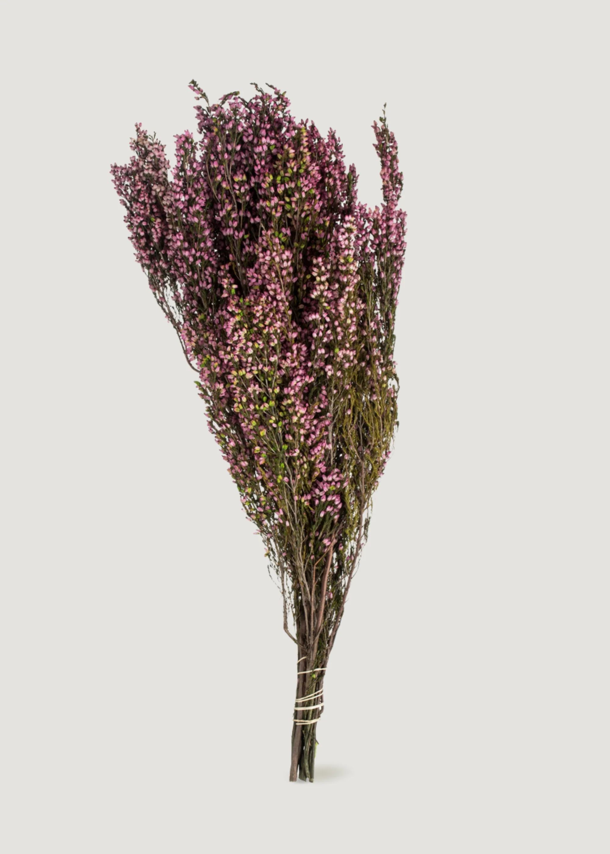 Preserved Heather Flower Bundle in Pink | Dried Botanicals at Afloral | Afloral