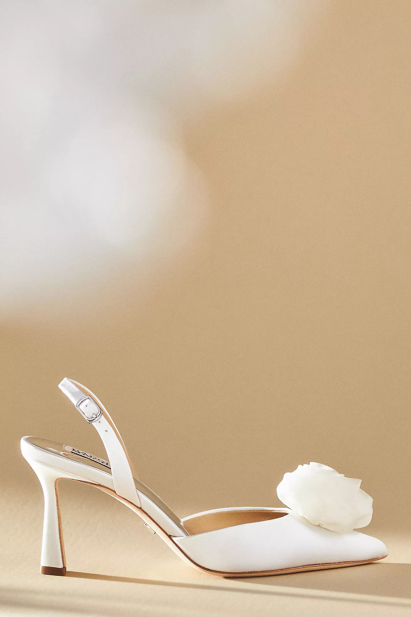 Badgley Mischka Carlise Pointed Toe Flower Accent High Heel Pumps | Anthropologie (US)