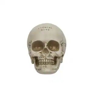 5" White Labeled Skull Tabletop Accent by Ashland® | Michaels | Michaels Stores