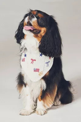 The Deluxe Pup Fourth of July Pet Bandana | Anthropologie (US)