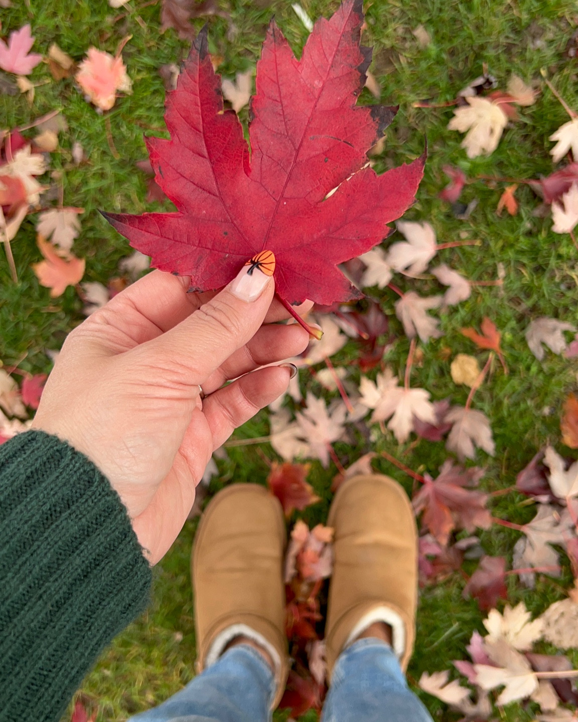 High quality UGG dupes for fall  

#LTKshoecrush #LTKSeasonal #LTKFind