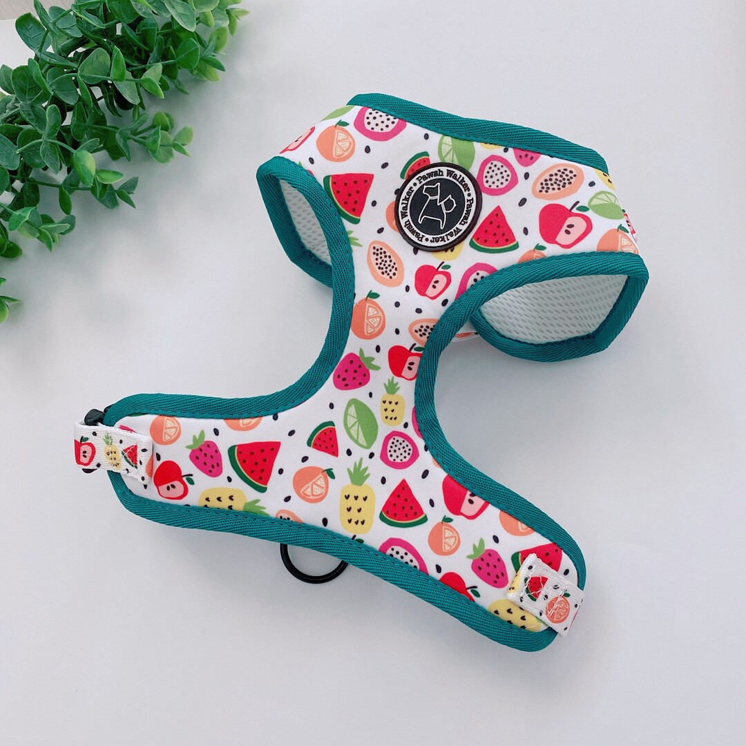 Dog harness-- Tropical Passion, cat harness, xxs harness, dog apparel, dog gift, dog fashion, dog ac | Etsy (US)