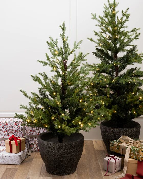 Norway Potted 4' Pre-Lit Faux Tree | McGee & Co.