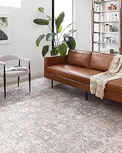 Loloi II Skye Collection SKY-01 GREY / APRICOT, Traditional 7'-6" x 9'-6" Area Rug | Amazon (US)