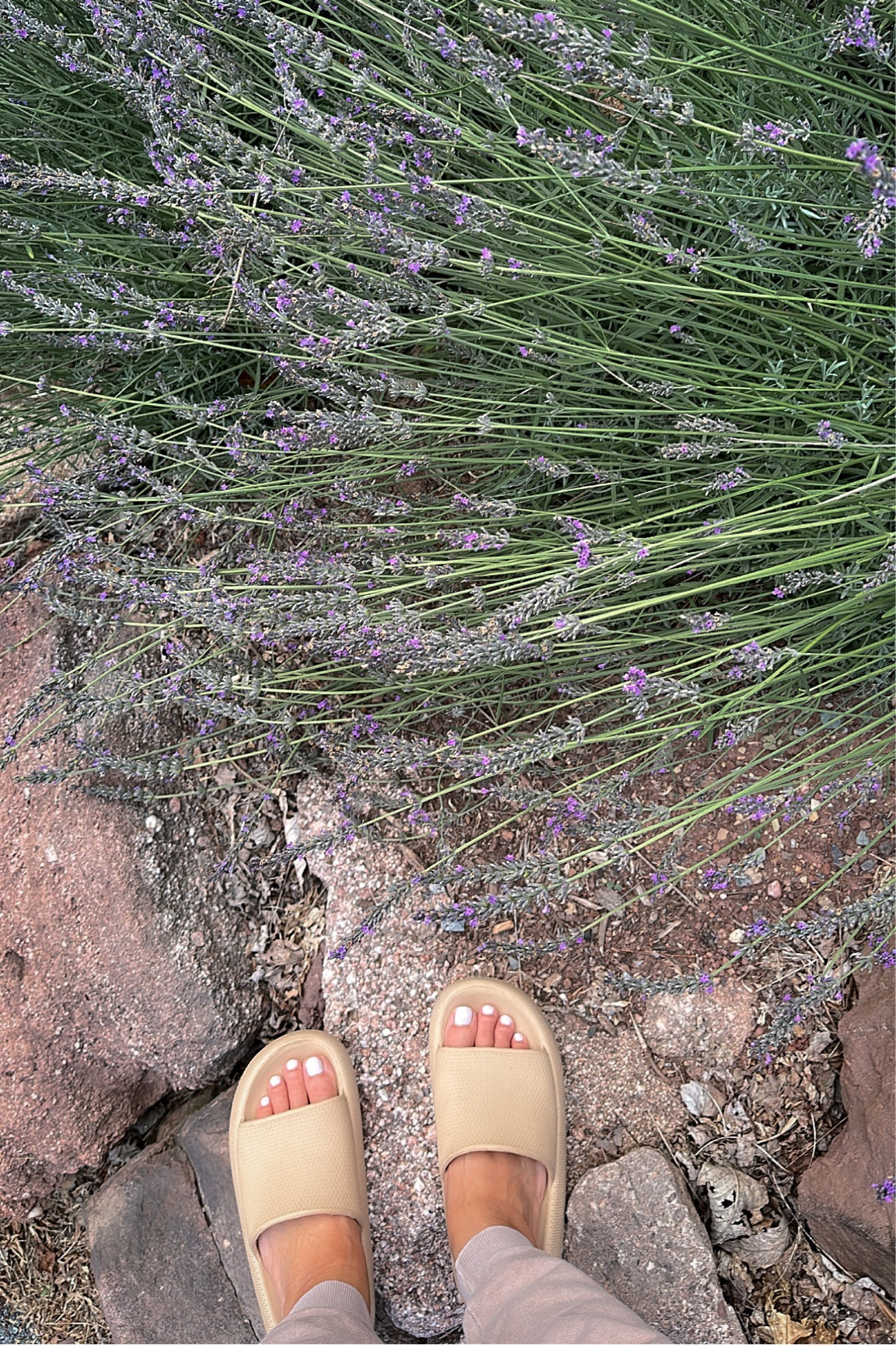 Pillow Slides, aka my gardening slippers
size: 7.5-8.5
color: brown
more color options! 

#LTKsalealert #LTKunder50 #LTKshoecrush