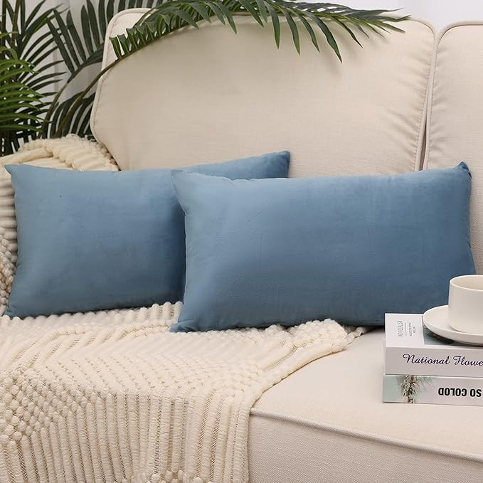 Pack of 2, Velvet Super Soft Solid Decorative Square Throw Pillow Covers Set Cushion Case for Sof... | Amazon (US)