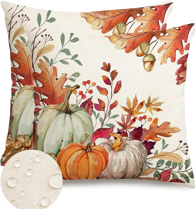 RABUSOFA Fall Pillow Covers 18x18 Set of 2, Waterproof Pumpkin Pillows Decorative Throw Pillows A... | Amazon (US)