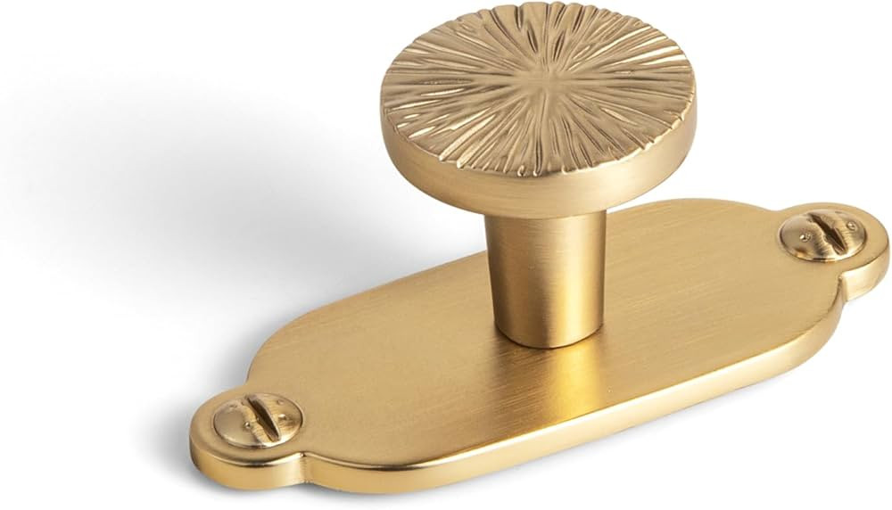 Goo-Ki Zinc Alloy Cabinet Knob with Backplate-Champagne Bronze Drawer Knobs,6 Pack | Amazon (US)