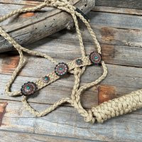 Tan & Turquoise Mule Tape Halter - #mt116 | Etsy (US)