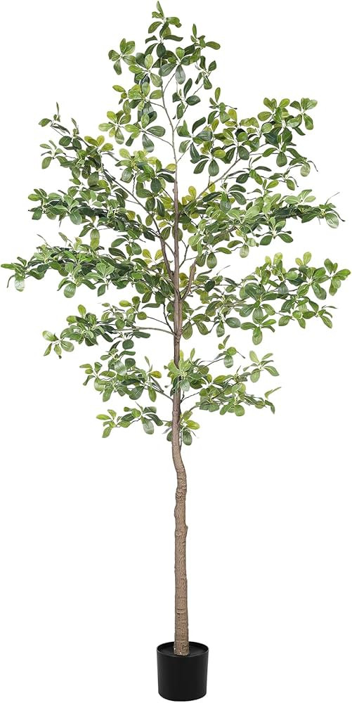 Black Olive Tree 7ft - Faux Black Olive Tree with Natural Trunk and Realistic Leaves - Olive Tree... | Amazon (US)