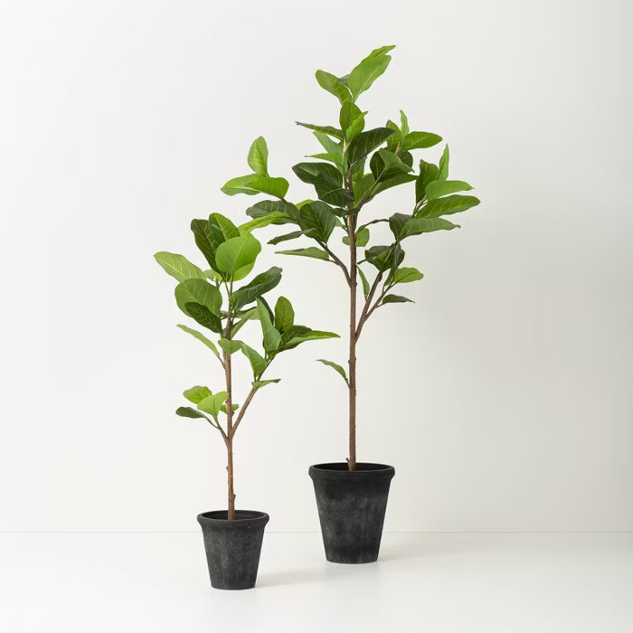 Faux Audrey Ficus Tree - Hearth & Hand™ with Magnolia | Target