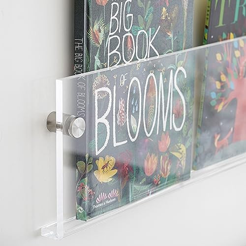 ROYALITA 2-Pack Acrylic Magazine Holder Vinyl Records Holder, Display Floating Nursery Bookshelve... | Amazon (US)