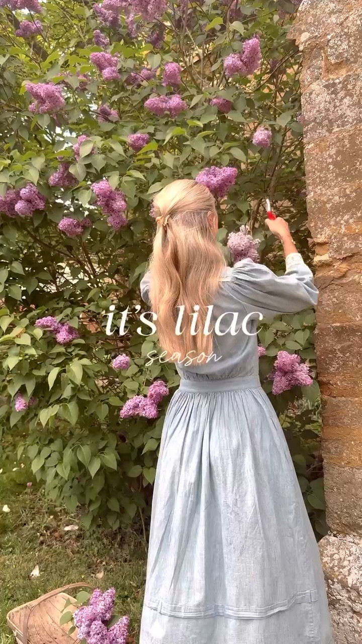 Lilac season has finally begun! I have foraged handfuls of the beautiful flowers to use in various spring recipes 🤍

#LTKdresses #LTKspring #LTKuk