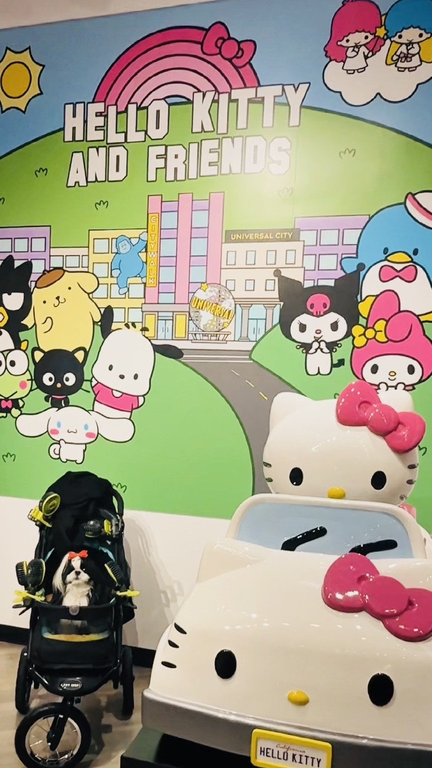 A day at Hello Kitty and Friends Cafe at Universal Studios Hollywood CityWalk calls for the cutest accessories. 🎀 Nirvana packed her favorite luxury park bags, from easy crossbodies to hands-free backpacks that make theme park days so much easier. Whether you’re exploring CityWalk, hopping on rides, taking the Studio Tour, or stopping for Hello Kitty treats and photo ops, these are the designer bags Nirvana loves to bring along for a stylish day out.

Nirvana the Shih Tzu 💋 Nirvana Approved

#LTKdayinmylife #LTKTravel #LTKmomlife