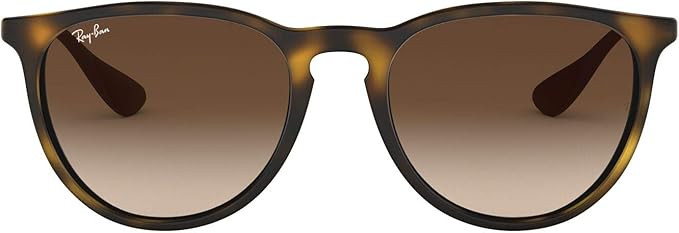 Ray-Ban Women's Rb4171 Erika Round Sunglasses | Amazon (US)