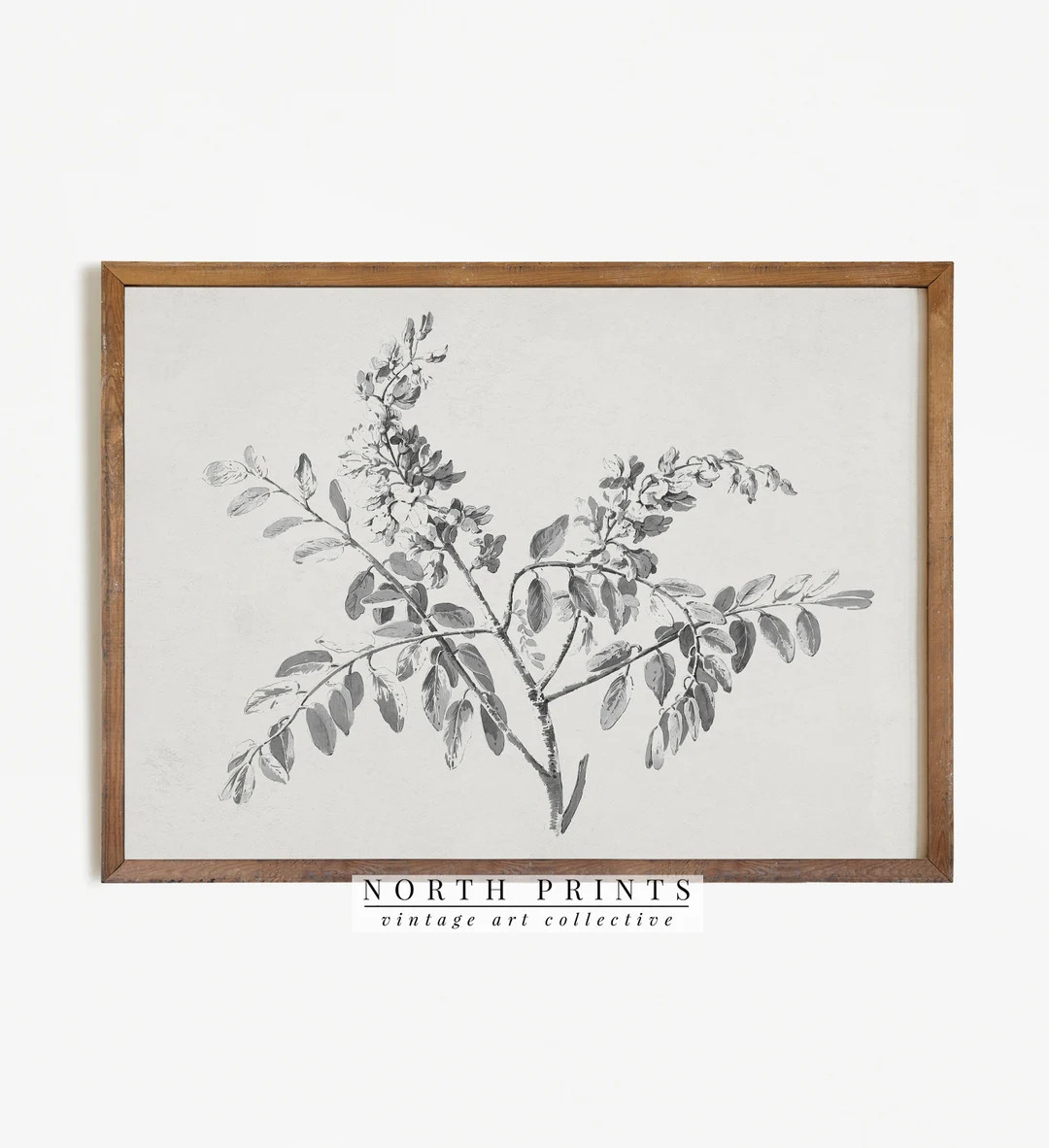 Vintage Branch Sketch  Botanical Drawing PRINTABLE Digital - Etsy | Etsy (US)