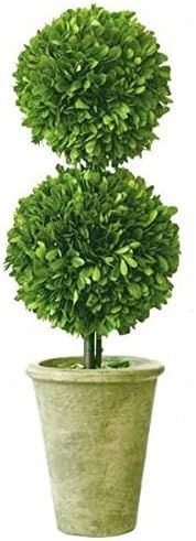 Tradingsmith Preserved Boxwood 20" Double Ball Topiary | Amazon (US)