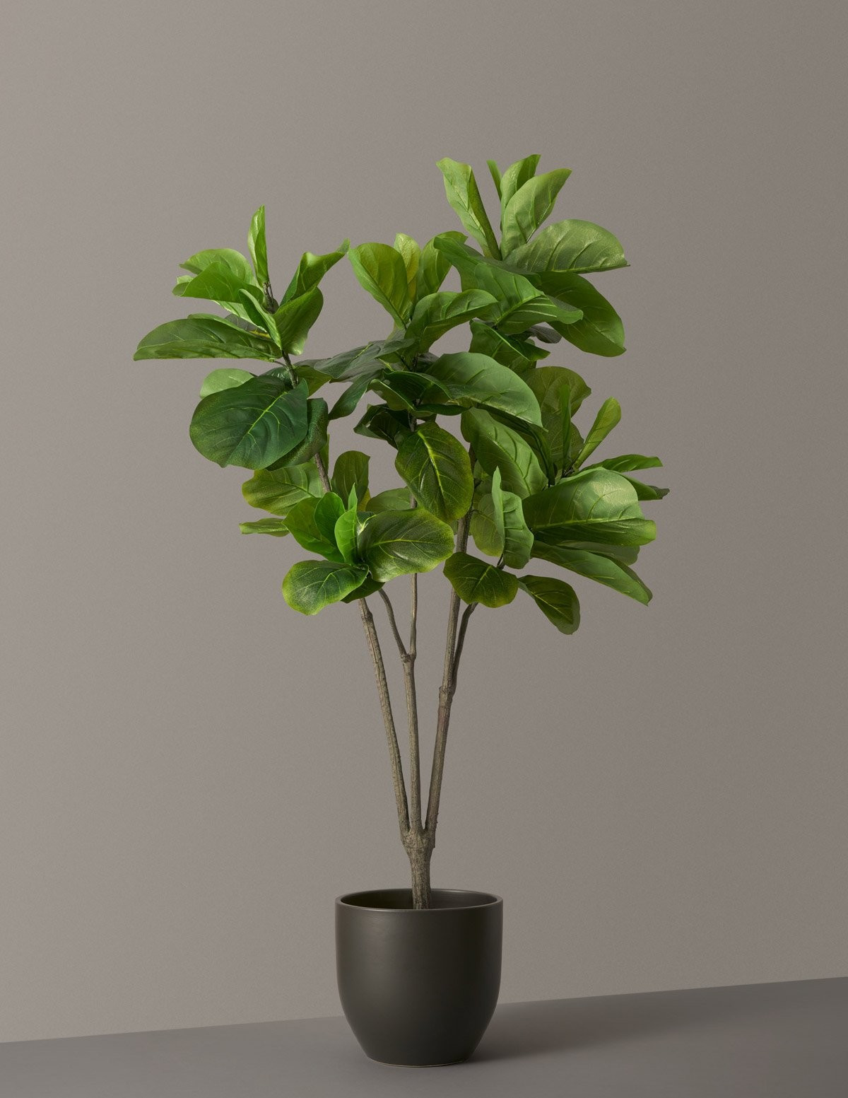 Faux Fiddle Leaf Fig Tree | The Sill