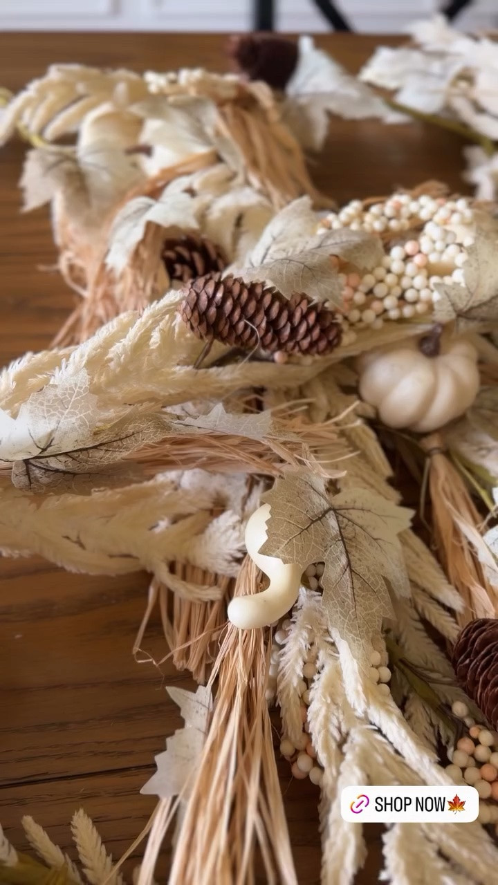 Fall Wreaths & Garlands 40% off!!

Neutral home aesthetic. Beige aesthetic. Neutral fall. Elegant fall. Elevated fall decor. White pumpkin

#LTKSeasonal #LTKHome #LTKSaleAlert