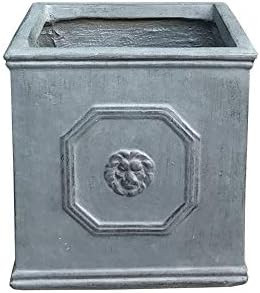 Kante RF0172B-C80451 Lightweight Classic Square English Style Lion Head Planter, Antique Gray | Amazon (US)