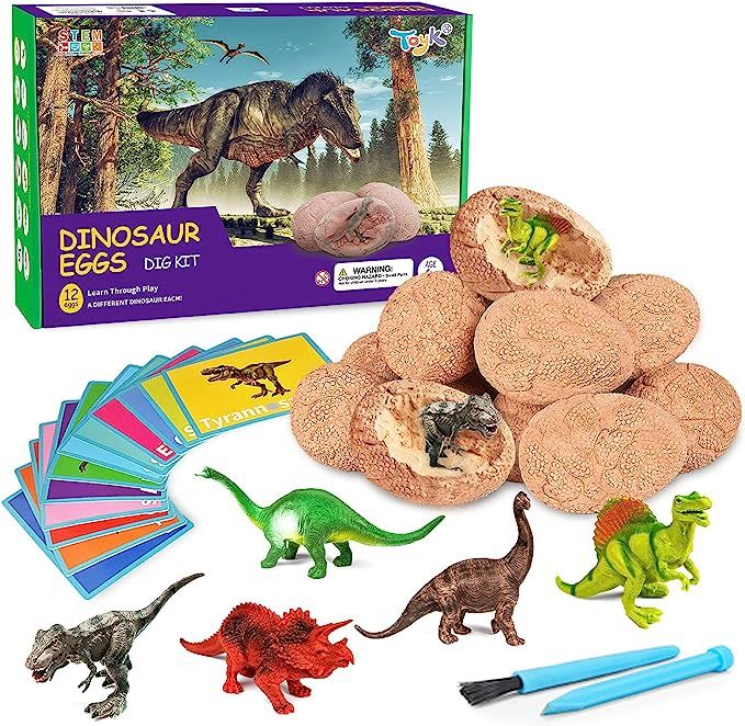 Dig Up Dinosaur Fossil Eggs, Break Open 12 Unique Dinosaur Fossil Eggs and Discover 12 Cute Dinos... | Amazon (US)