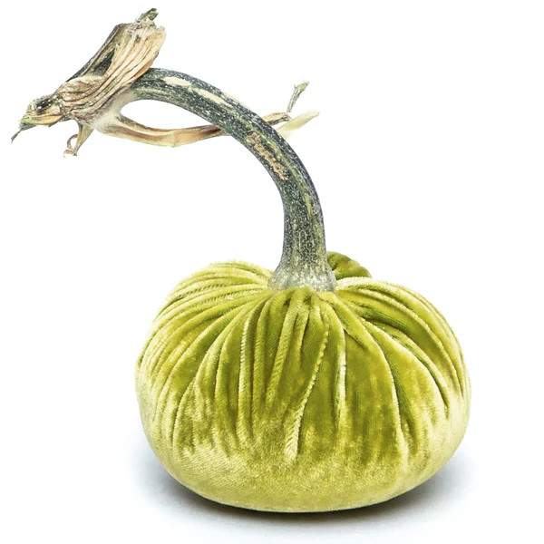 Chartreuse Silk Velvet Pumpkin | Hot Skwash