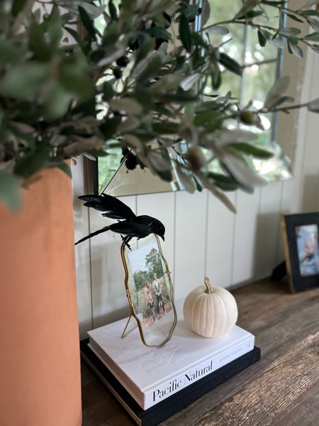 cute and affordable Halloween decor that you can use year after year 

#LTKHalloween #LTKSeasonal
