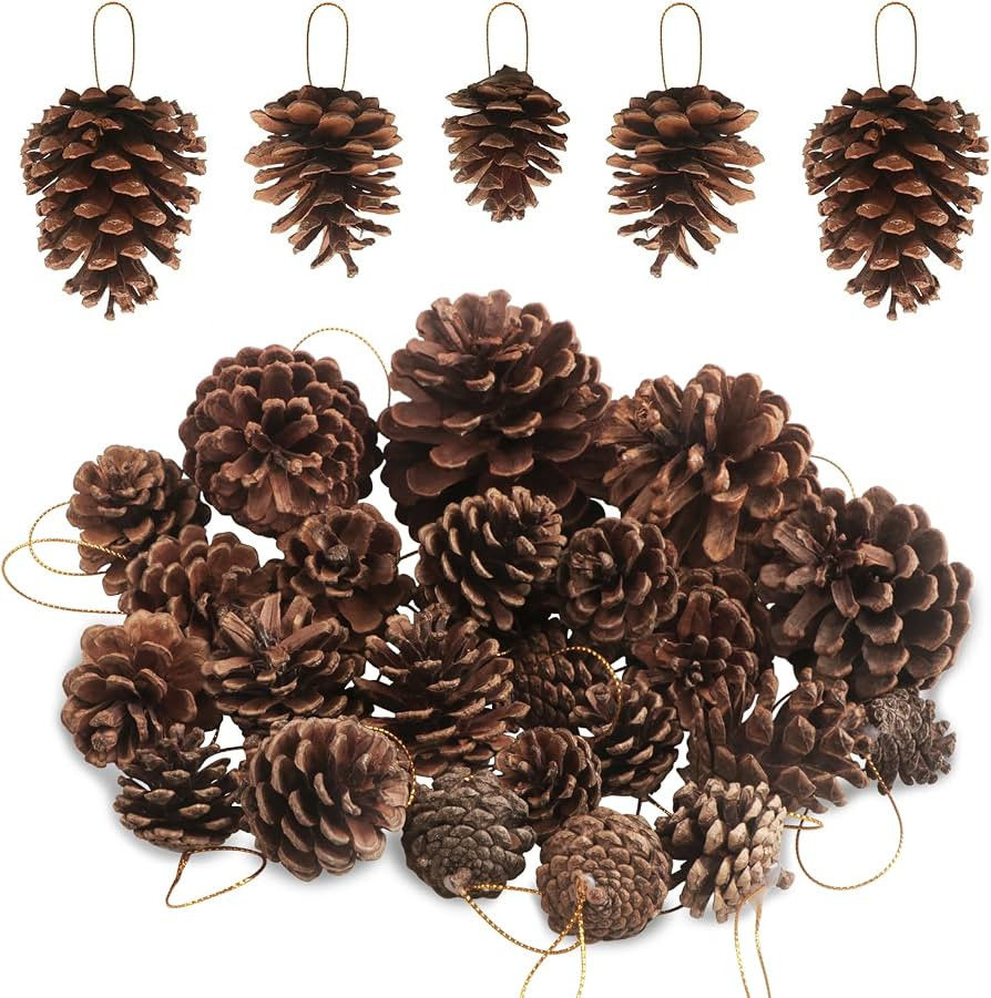 25 PCS Christmas Natural Pine Cones Pine Cones Christmas Tree Pine Cones Bulk Christmas Pinecones... | Amazon (US)