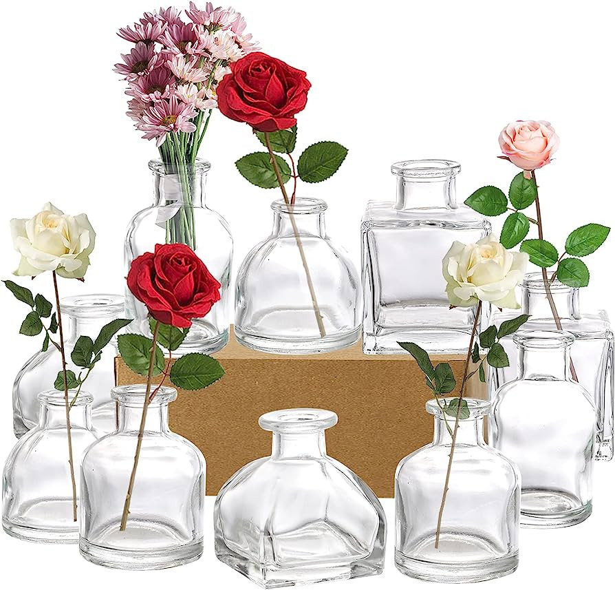 Hedume Set of 10 Small Glass Flower Vases, Clear Glass Bud Vases, Decorative Rustic Floral Vases,... | Amazon (US)