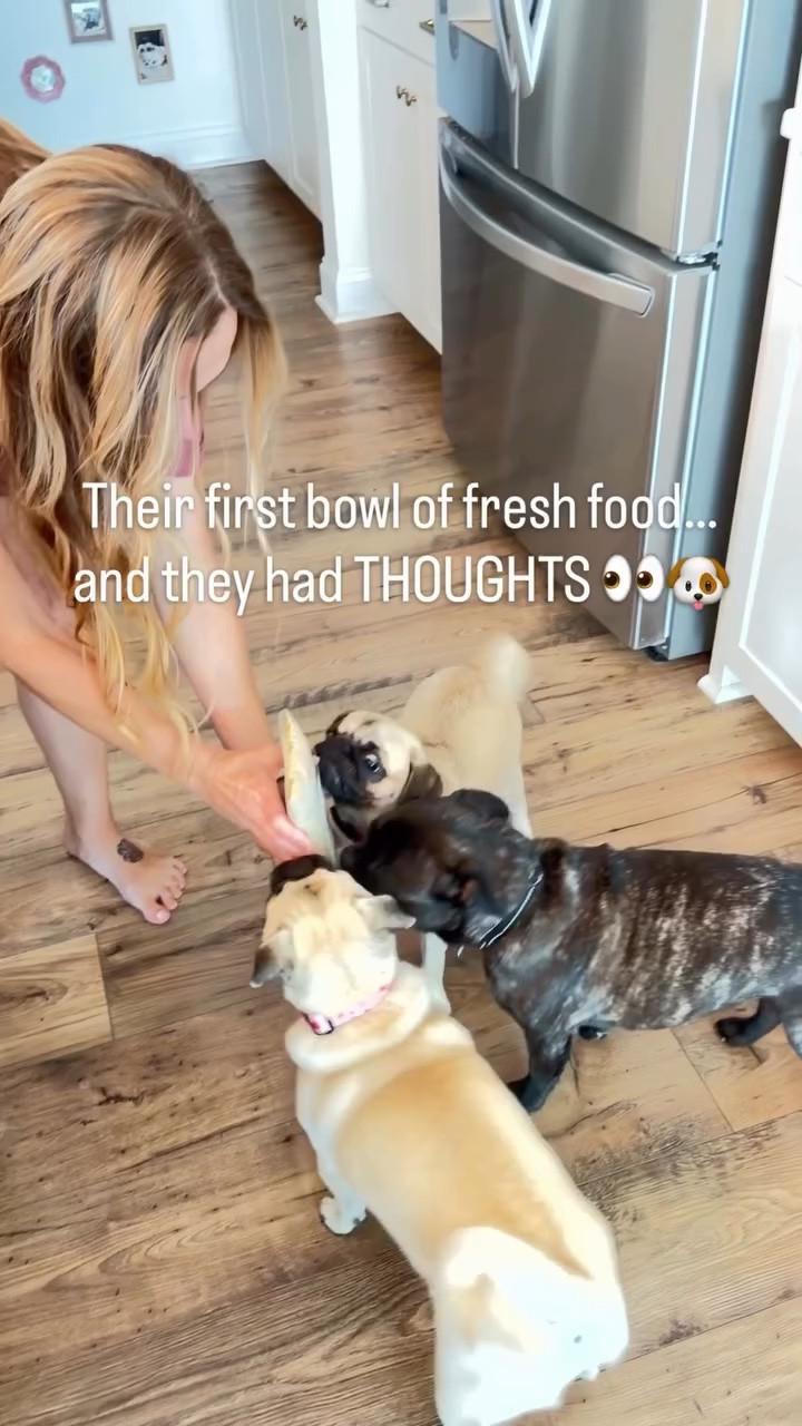 The first bowl test is officially in… 👀🐶

We’re trying fresh food from @thefarmersdog, and the pups were VERY interested in what was happening in their bowls. 😂 I love that each meal is pre-portioned for their specific needs, so there’s no guessing when it’s mealtime.

And judging by these reactions… I think they approve. 🥹

Comment “DOG” and I’ll send you the link for 60% off your first box! 🐾

#TFDpartner #ThePack #pugs #dogmomlife #dogmama

#LTKdayinmylife #LTKmomlife #LTKHome