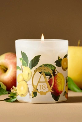 Apothecary 18 Fruity Harvest Apple & Vanilla Glass Candle | Anthropologie (US)