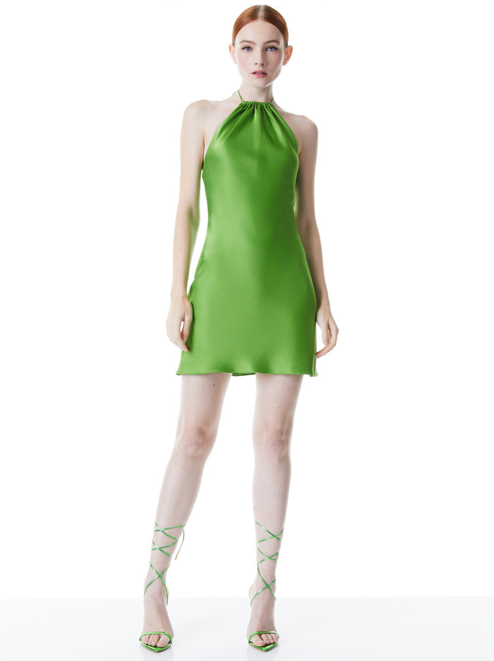 ZUMI A-LINE MINI DRESS | Alice + Olivia