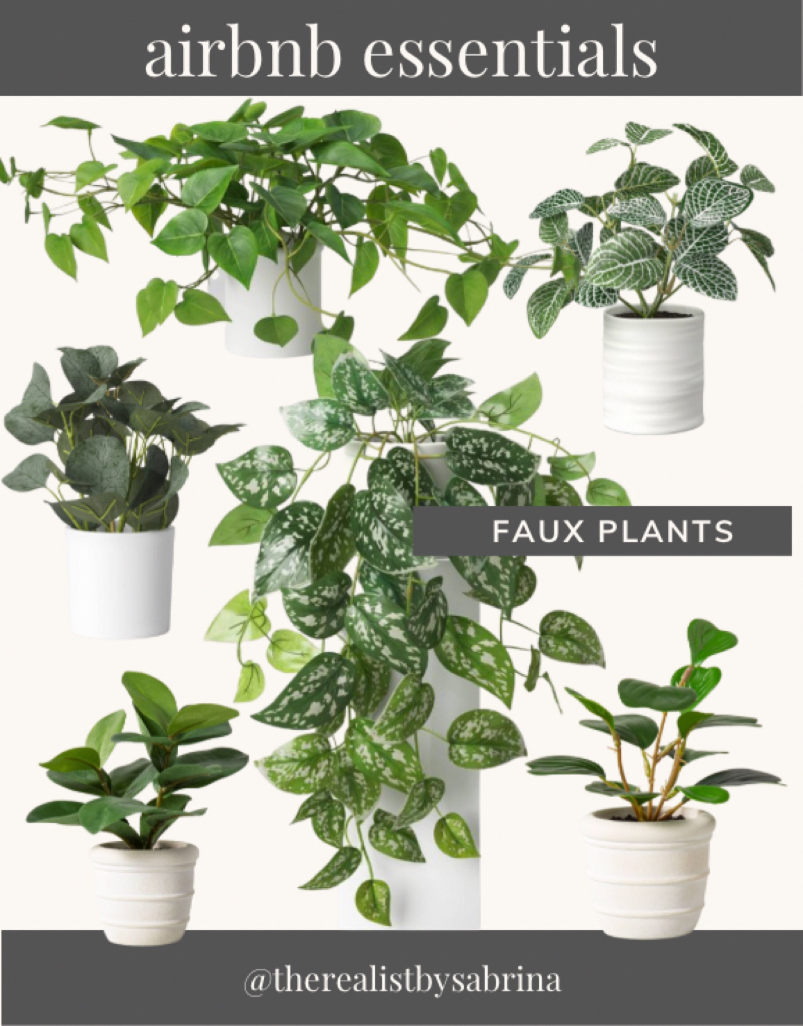 Airbnb faux plants

#LTKunder100 #LTKhome #LTKunder50