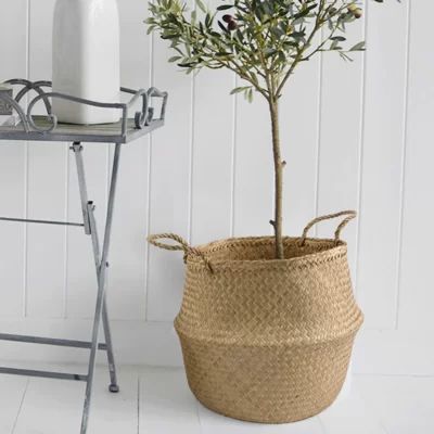 Large Belly Straw Seagrass Basket Bay Isle Home Color: Natural, Size: 14" H x 15.7" W x 13" D | Wayfair North America