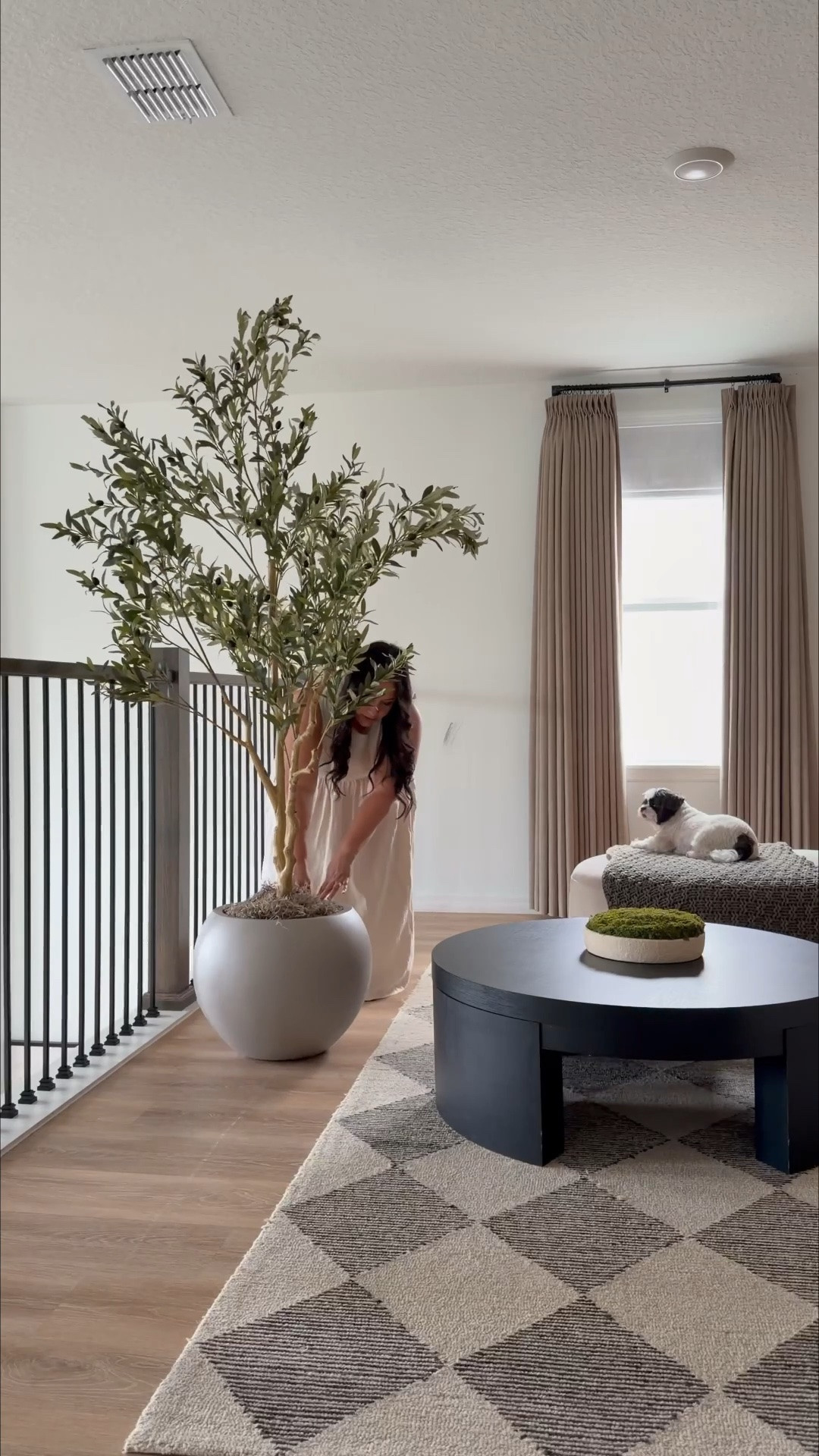 Styling this planter with a faux olive tree for my loft area and love how it turned out!! ❤️



Indoor & outdoor planters | faux plants | home decor | modern home | amazon finds | luxe for less | style tips | interior design | crate and barrel | living room refresh | small spaces | decor DIYs

#LTKHome