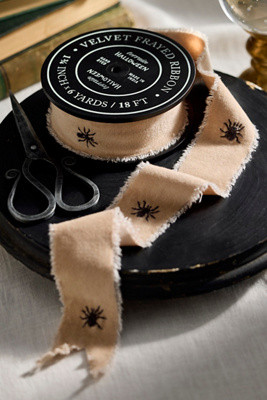 Embroidered Spider Velvet Ribbon | Anthropologie (US)