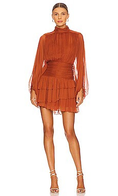 Noemi Ruched Mini Dress
                    
                    Shona Joy | Revolve Clothing (Global)