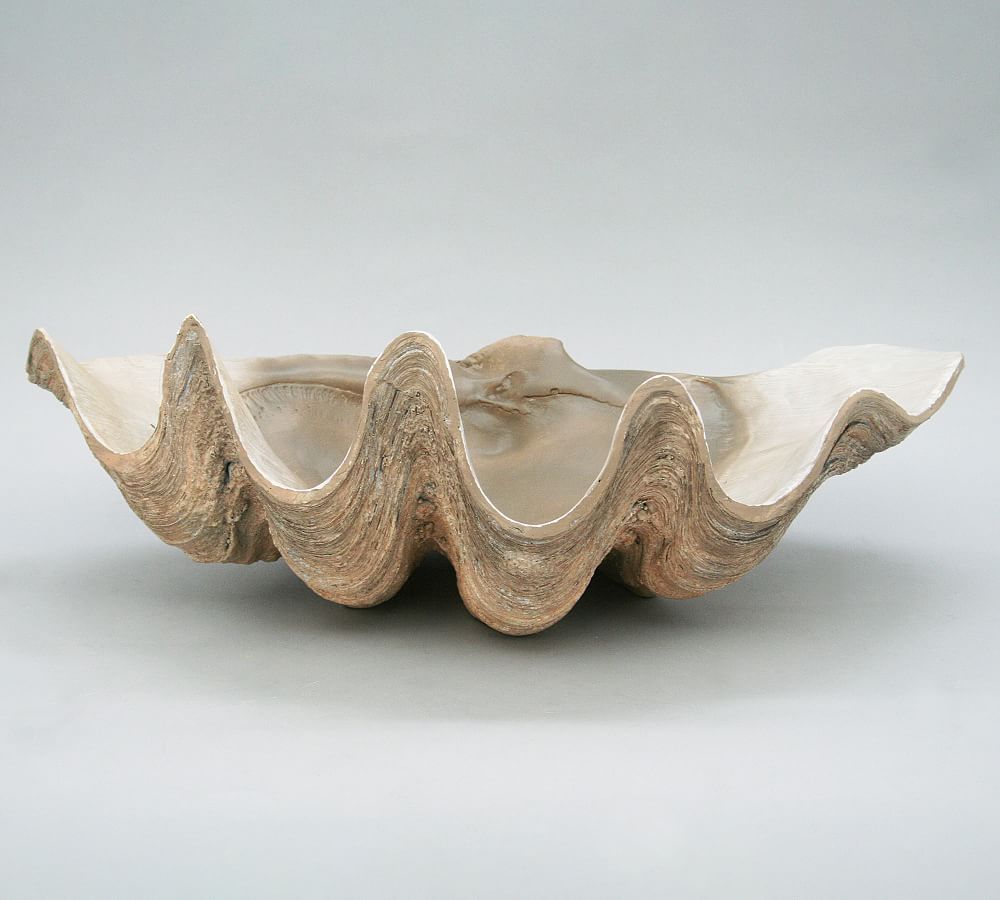 Fossilized Clam Decorative Object | Pottery Barn (US)