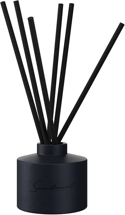 The One Reed Diffuser – Black Ceramic | 100ml | Long-Lasting Home Fragrance | Includes Reed Sti... | Amazon (US)