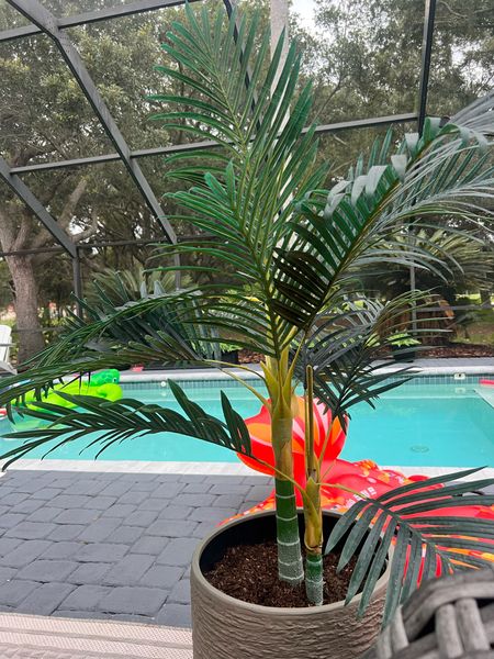 Cane palm faux tree

#LTKHome