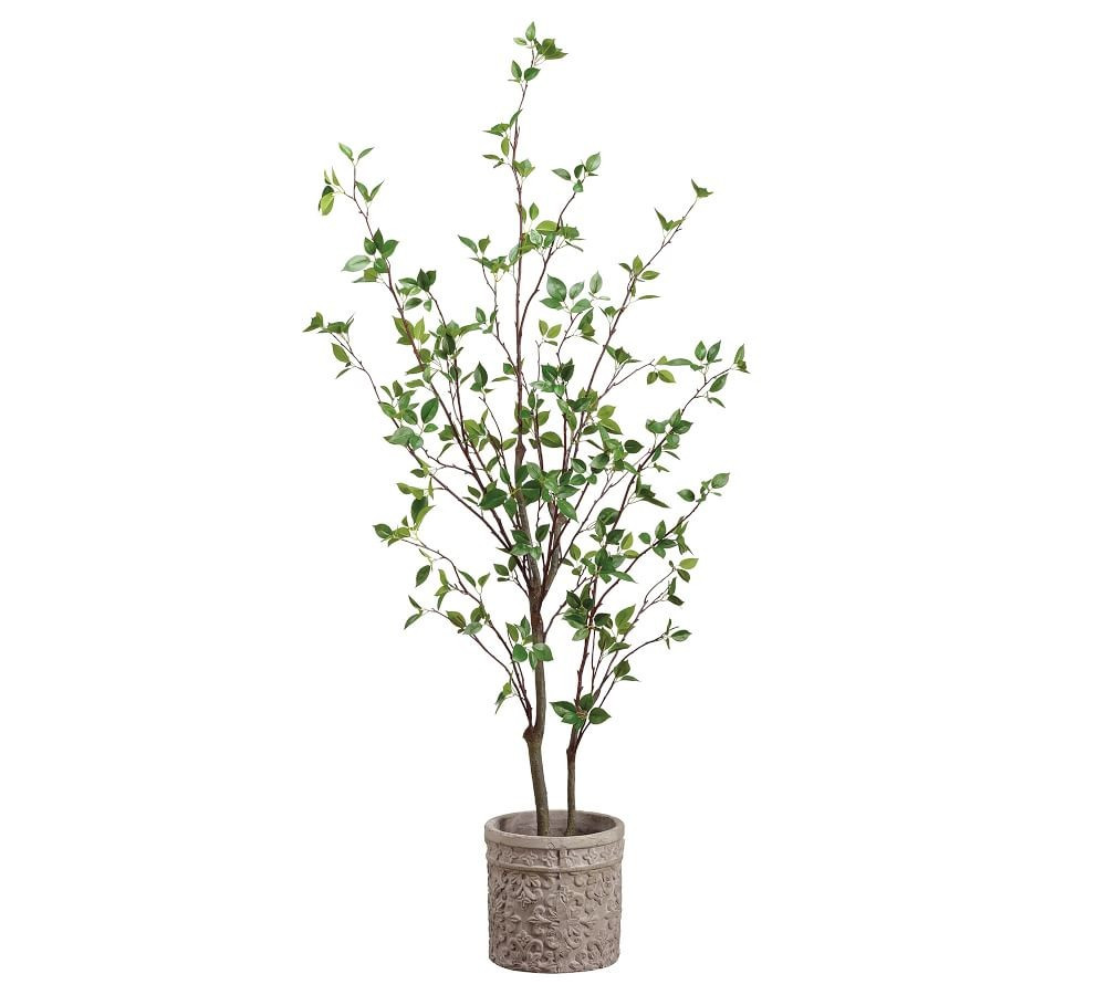 Faux Potted Cornus Tree | Pottery Barn (US)