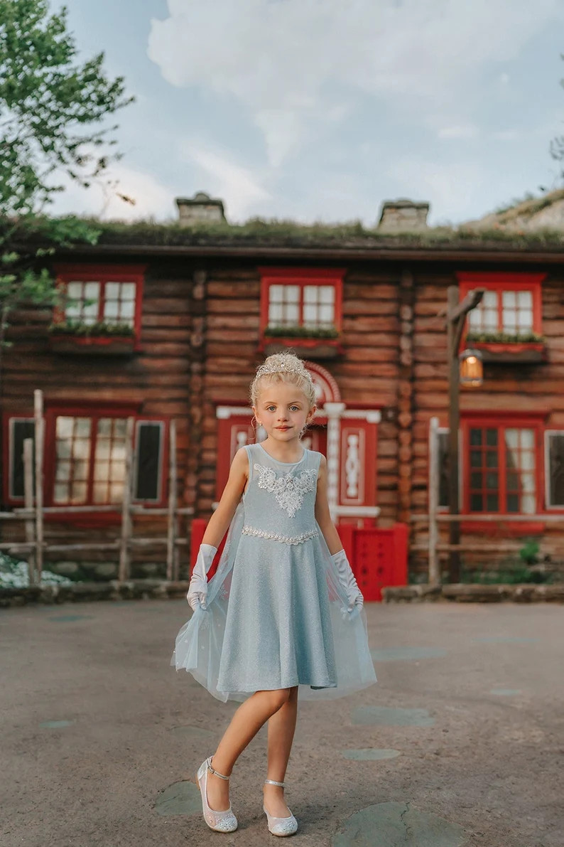 READY TO Ship,girls Elsa Ballgown,elsa Costume,frozen Princess Dress,halloween Costume,disney Pri... | Etsy (US)